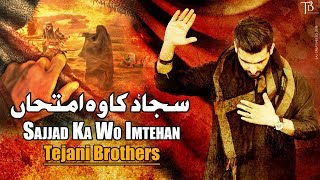 Noha Imam Sajjad  25 Muharram Noha  Tejani Brothers  Sajjad Ka Wo Imtehan  Nohay 2018 [upl. by Lain]