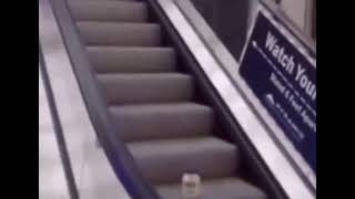 mayonnaise on an escalator full song [upl. by Noislla955]