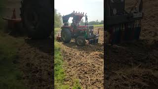 Massey Ferguson 241 PD with Rotavator masseyferguson manatractorvlogs [upl. by Jorge727]