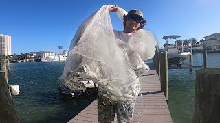 How to Cast Net and Store Thousands of Bait Fish Cast Netting Bait [upl. by Ahsenod]