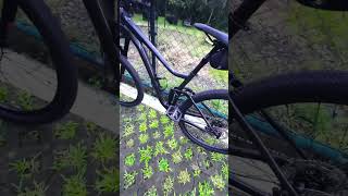 Giant Stance 2 29er 2022 youtubeshorts cycling gravelbike jeffkingvlogs mtb mountainbike [upl. by Okomom]