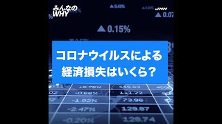 なぜ、新型コロナウイルスの経済に与える影響は当初より悪化しているのか みんなのWHY [upl. by Narton648]