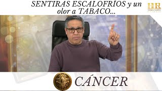 CÁNCER SENTIRAS ESCALOFRÍOS y un olor a TABACO A una FOTO TUYA le están poniendo VELADORAS A [upl. by Nylynnej]