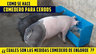 Comedero Para Cerdos Como Hacerlo Y Cuales son las Medidas Comedero de Engorde de puercos con Lamina [upl. by Eenal287]