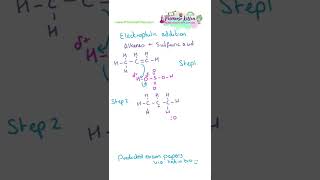 Electrophilic addition of alkenes and sulfuric acid for ALevel chemistry exams revision revise [upl. by Isnyl343]