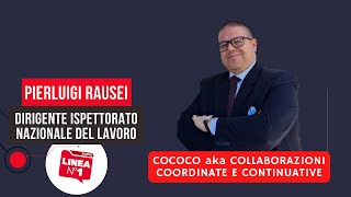 COCOCO ovvero COLLABORAZIONI COORDINATE E CONTINUATIVE [upl. by Baillieu]