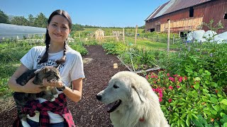 Touring Our Kitchen Garden Most Adorable Garden Tour on the Internet [upl. by Lyndel43]