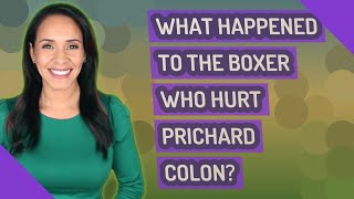 What happened to the boxer who hurt Prichard Colon [upl. by Victoria]