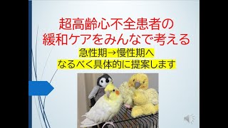 超高齢心不全患者の緩和ケアをみんなで考える急性期→慢性期への連携を循環器医がお話します [upl. by Asiuol]