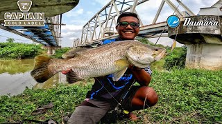 Rejeki Nomplok Casting Barramundi Di Bawah Reel Kereta Api [upl. by Yclehc]