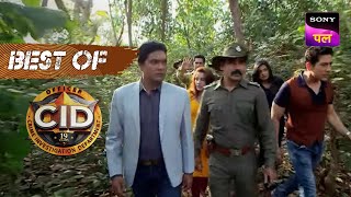 एक खूंखार Leopard की तलाश में जगंल पहुँची Team CID  CID  Best Of CID [upl. by Asiek]