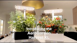 Introducing the AeroGarden Harvest XL [upl. by Zsolway]