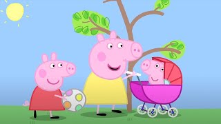 Heo Peppa  Em bé heo  Tập đầy đủ  Heo Peppa Tiếng Việt  Phim Hoạt Hình [upl. by Cheshire999]