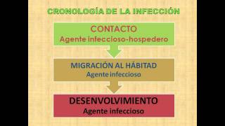 PARASITOLOGÍA  RELACIÓN HOSPEDADOR  PARÁSITO 3 [upl. by Short843]