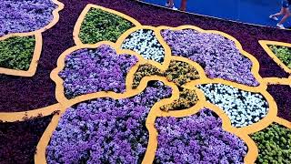 Flower carpet [upl. by Pernell]