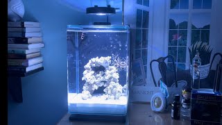 5 Gallon Pico Tank Rehab [upl. by Maryann]