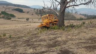 FiatAllis 14B pushing a dead tree [upl. by Ddahc387]