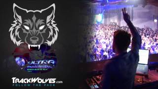 Luciano  Live  Ultra Music Festival Miami  28032014 [upl. by Zaneski433]