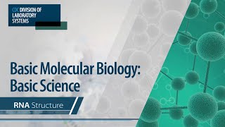 Basic Molecular Biology Basic Science – RNA Structure [upl. by Auoy]