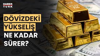 Dolar  euro ve altın neden yükseliyor Prof Dr Oral Erdoğan yanıtladı [upl. by Damalis733]