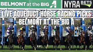 Live Aqueduct Horse Racing Picks  Belmont at the Big A [upl. by Wolford]