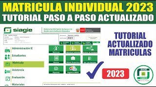 Siagie  Matricula INDIVIDUAL 2023  Tutorial COMO MATRICULAR ALUMNOS NUEVOS Y ANTIGUOS [upl. by Cirala]