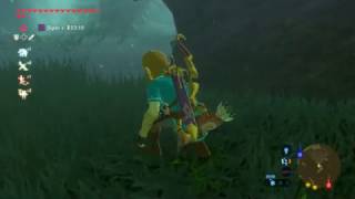 The Legend of Zelda Breath of the Wild  Las pruebas Kolog [upl. by Ahtabat33]