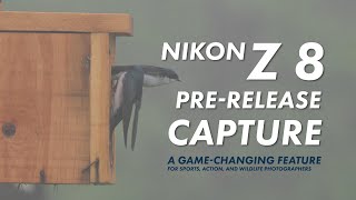 Explaining the Nikon Z 8 Z 9 and Z6III PreRelease Capture Use it for Sports Action Wildlife [upl. by Mabel]