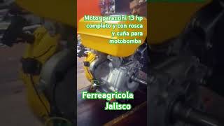 Motor parazzini 13hp completo con rosca y cuña reparacion taller restauraciones [upl. by Largent152]