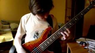 Beyond Creation  Omnipresent Perception bass solo cover 5 string fretted bass [upl. by Budde]