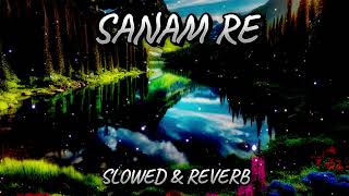 SANAM RE SLOWED amp REVERB SONG  ARIJIT SINGH  MMC SLOWED amp REVERB  2024 [upl. by Rori947]