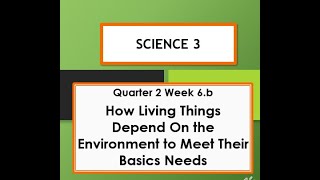 science 3 Q2 W6b How living things depend on the environment to meet their basic needs [upl. by Arammat]