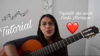 TUTORIAL Pajarito del amor  Carla Morrison [upl. by Cantlon]