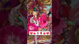 Saanwre shyam 🪷💖 krishna vrindavan krishnabhajan radheradhe youtubeshorts shortsvideo shorts [upl. by Richmal]