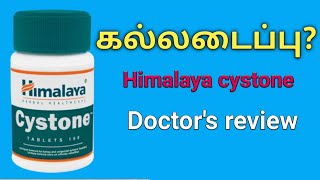 himalaya cystone tablet in Tamil uses reviews benefits ingredients dosage amp side effects price [upl. by Ayhtak]