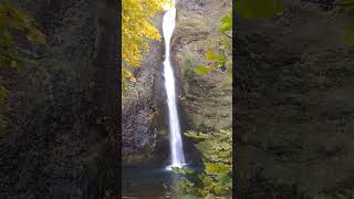 Horsetail FallsOregon oregon waterfall autumn fall hike pnw scenicdrive [upl. by Accebar134]