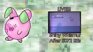 312  LIVE Shiny Whismur passes me the Aux Cord after 5072 REs Ruby [upl. by Goran]