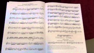 Gavotte from Mignon  Suzuki Violin Book 2  Music Sheet and Play Along [upl. by Bunns452]