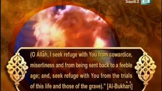 Prophet is ask refuge from Cowardice miserliness feeble age protection trails of the grave [upl. by Norvol699]