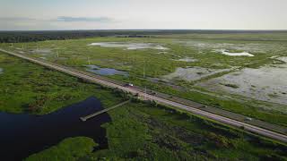 Paynes Prairie State Park  Gainesville FL  Cinematic Drone Footage  4K [upl. by Dennis]