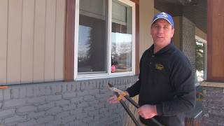 Pruning Karl foerster feather reed grass  Chinook landscaping Calgary [upl. by Michaelina]