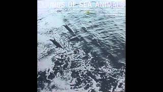 sounds of sea animals part 2 porpoise sounds [upl. by Dara]