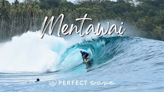 Surfing Mentawai With The Perfect Wave  Andy Potts [upl. by Oidualc]