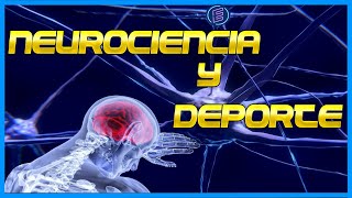 Lo que NECESITAS saber sobre la Neurociencia aplicada en el DEPORTE 🥋🏀⚽ 🎖️🏆 [upl. by Gilda535]