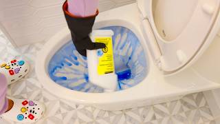 Powerful Expert Bathroom Cleaning Tips [upl. by Doughman]