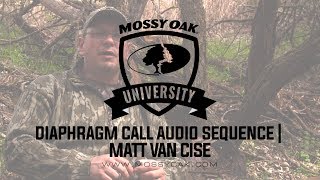 Matt Van Cise Mouth Call Audio Sequence [upl. by Acsot739]