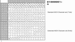 Representation ASCII Table [upl. by Akiv70]