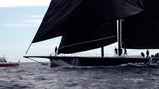 Les Voiles De Saint Tropez 2024  Maxis Day 1 [upl. by Aerdnaek]