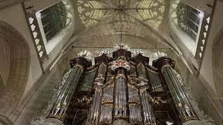 Psalm 121 vers 4 Kamorgel Dordrecht [upl. by Marya]