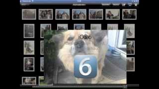 ifunde  Fehlerhafte FotoLöschfunktion auf dem iPad iOS 511 [upl. by Lednyk502]